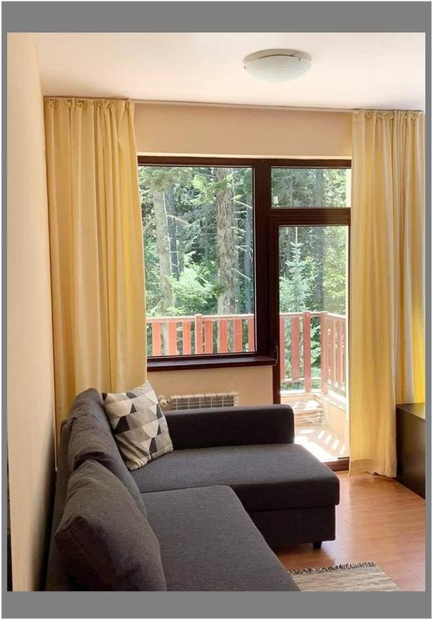 Flora Ski-Slope Studio Apartment Боровец Экстерьер фото