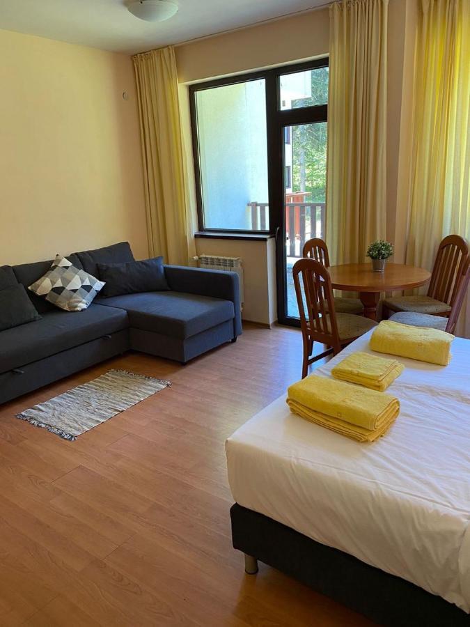 Flora Ski-Slope Studio Apartment Боровец Экстерьер фото