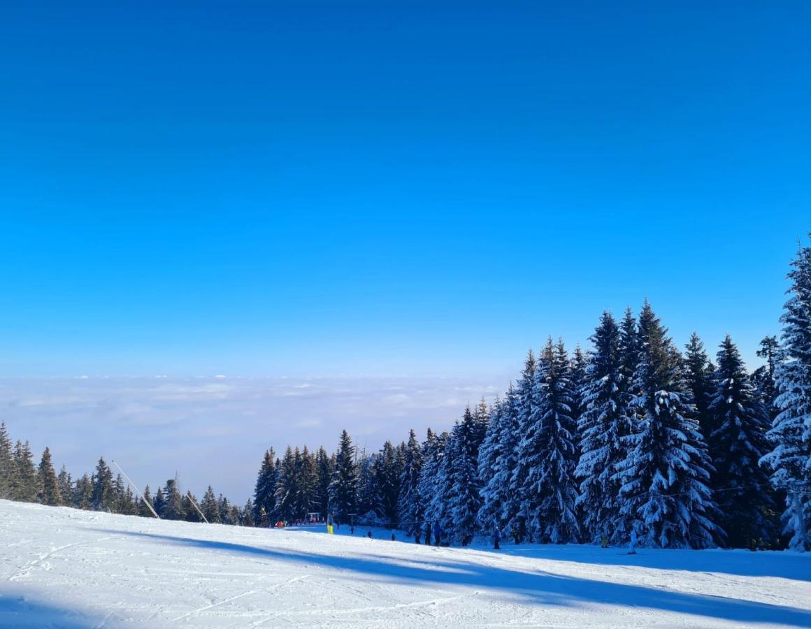 Flora Ski-Slope Studio Apartment Боровец Экстерьер фото