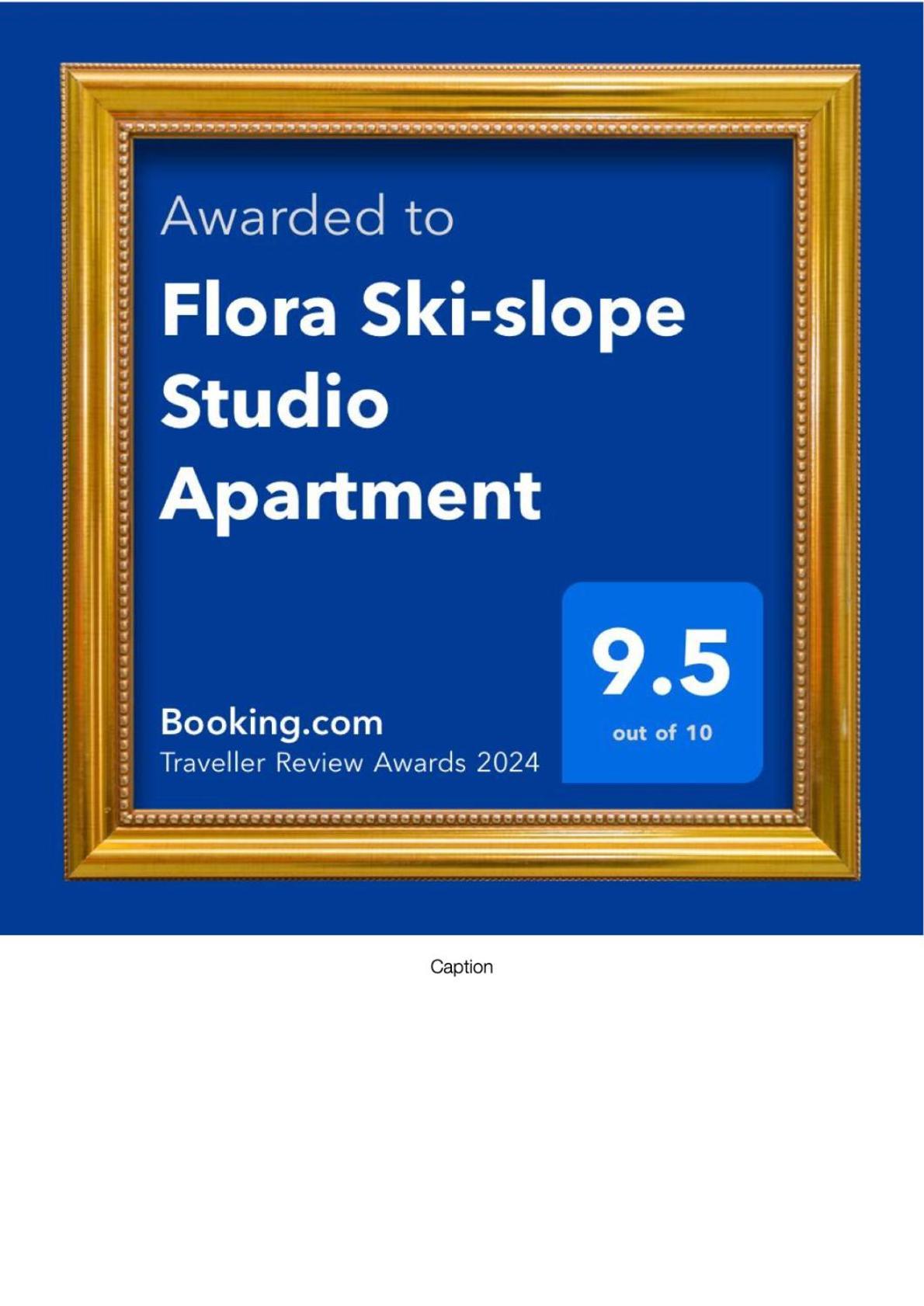 Flora Ski-Slope Studio Apartment Боровец Экстерьер фото